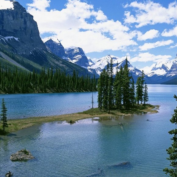 Meet your Posher, Alyssa - Picture 1 of 1